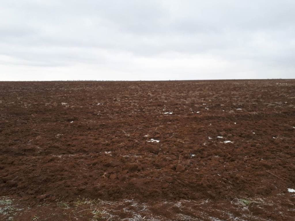 This is how the place where in 1942-43 there was a runway strip looks like now