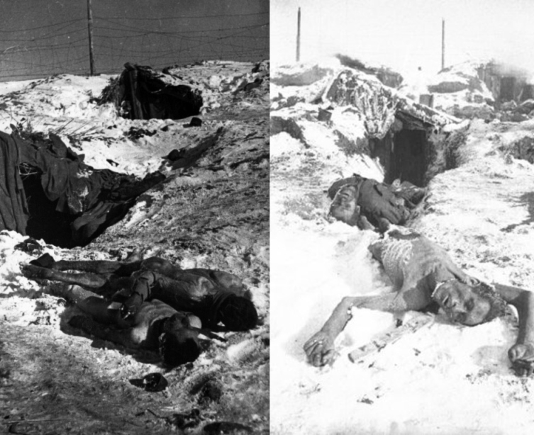 The Red Army soldiers died of starvation and very cold temperatures. The prison camp was in the village of Big Rossoshka near Stalingrad. The photograph was taken during a survey of the camp by the Soviet military after frustration of the German troops The Red Army soldiers died of starvation and very cold temperatures. The prison camp was in the village of Big Rossoshka near Stalingrad. The photograph was taken during a survey of the camp by the Soviet military after frustration of the German troops