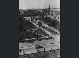 Poplar in the centre of Volgograd