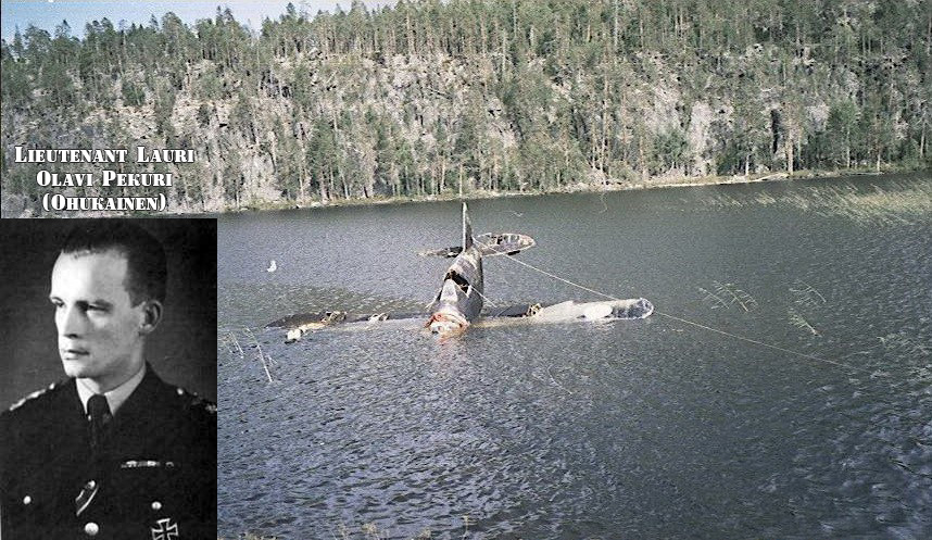 Buffalo