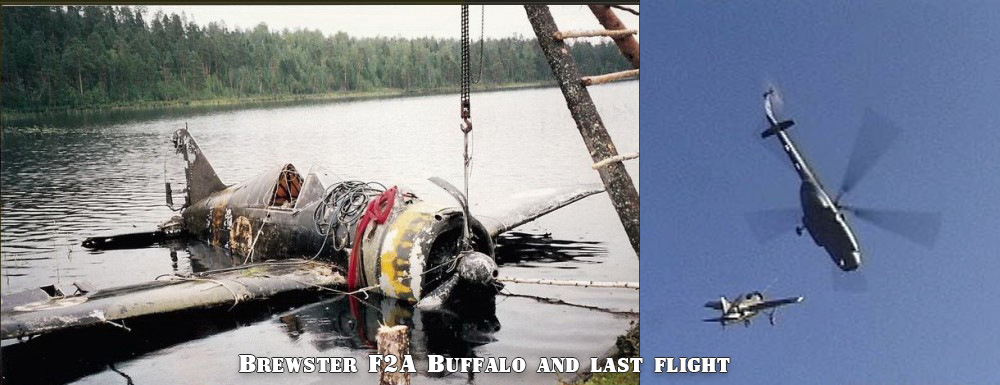 Brewster-F2A-Buffalo