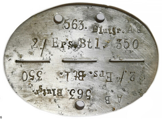 German Dogtag 2.Ers.Btl.350 / from Ukraine