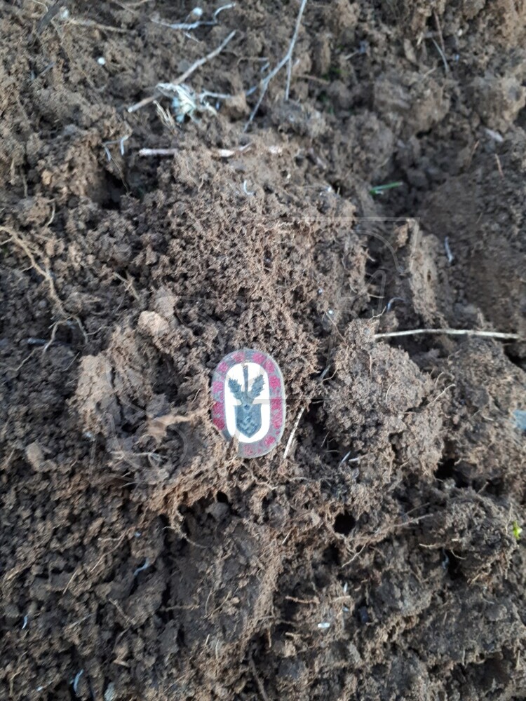 RAD Arbeits Dank Pin / from Stalingrad