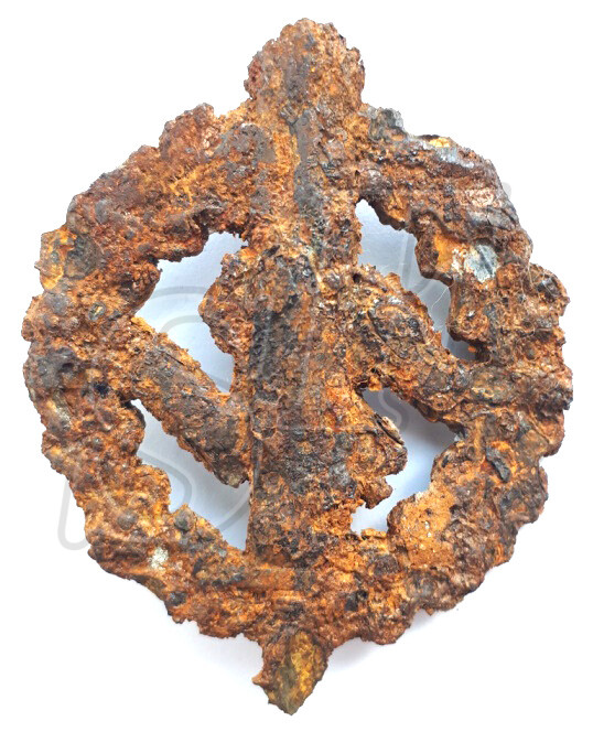 SA Sports Badge