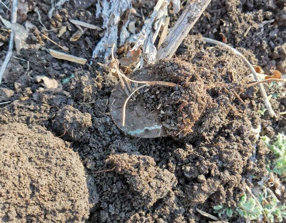 German dogtag 9.J.R.576 / from Stalingrad
