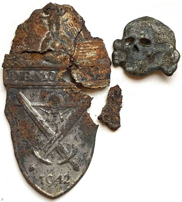Demyansk shield and Waffen SS collar tab skull / from Demyansk pocket