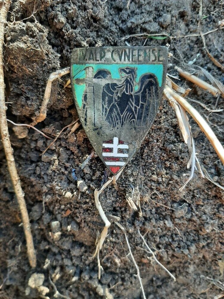 Alpine Division Kuneenze badge / from Stalingrad